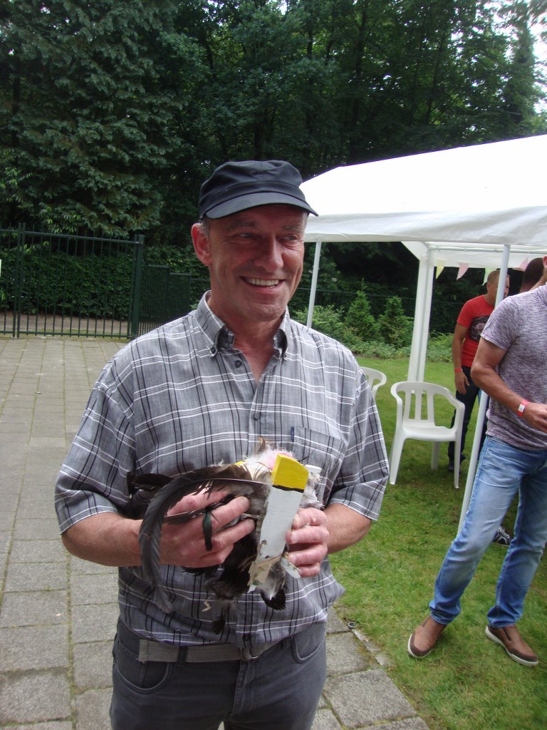 zGuld (2)